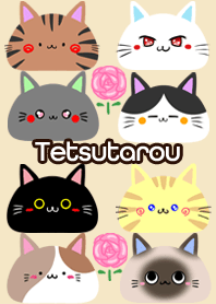 Tetsutarou Scandinavian cute cat4