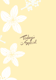 Stylish flowers and fruits16