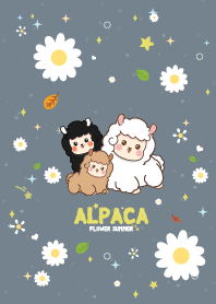 อัลปากา ดอกไม้ในฤดูร้อน สีเทา
