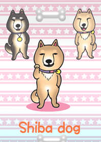 柴犬バンザイ!
