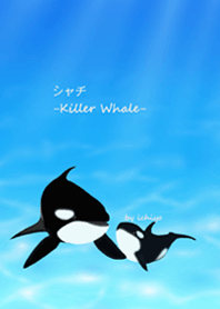 Killer Whale