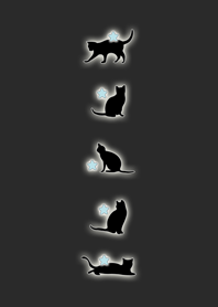 Shining stars and black cats