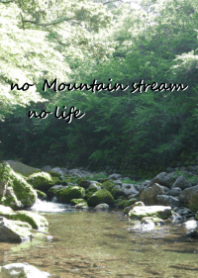 Mountain stream（渓流）