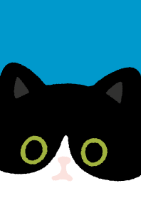 Tuxedo cat and Black cat_white/Blue1