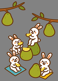 Rabbit eating grapefruit-Iron Gray