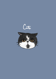 nekoko: tuxedo cat x blue grey