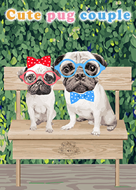 Cute pug couple