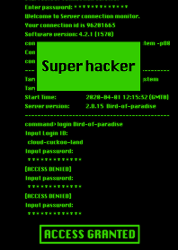 Super hacker