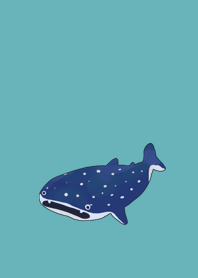 mini whale shark