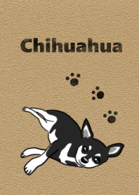 ブラックタンのチワワ