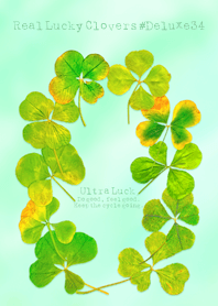Real Lucky Clovers #Deluxe34