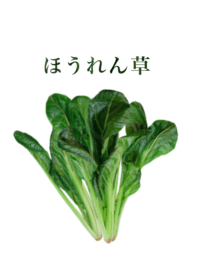 Domestic spinach 2
