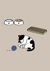 我養的小廢貓(賓士貓咪)