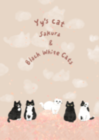 Yy's cat 春日櫻花與黑白貓