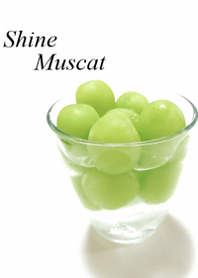 My favorite, the Shine Muscat5