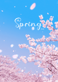 Spring sakura and sky from Japan