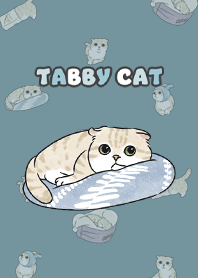 creamtabby3 - teal blue