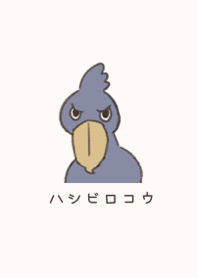 Sometimes interesting  Shoebill
