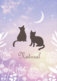 The sky, flowers, and cats12.