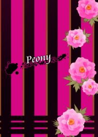Pink peony -Japanese style-