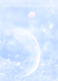 Swan Feather Photo #3-20Not AI