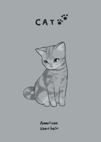 猫 CAT -アメリカンショートヘア-