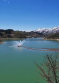 日本東北池塘