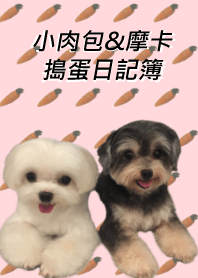 小肉包&摩卡搗蛋日記簿