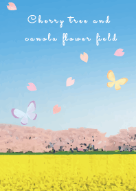 Cherry tree and  canola flower field