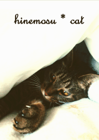 hinemosu*cat