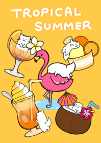 the fluffy cats of tropical summer