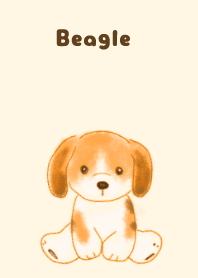 Beagle