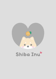 Shiba Inu2 Orange [gray]