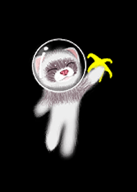 (Ferret) hang on to your dreams