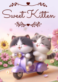 Sweet Kitten No.247