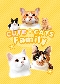 CUTE CATS Family YELLOW