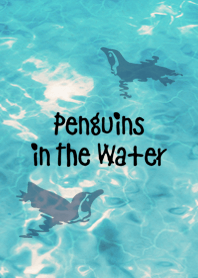 Penguins in The Water