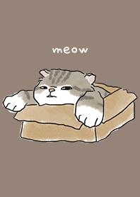 neko drawing1 / brown