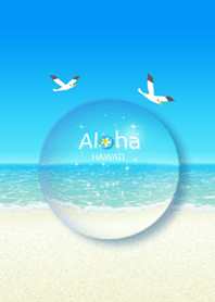 Hawaii*ALOHA+353