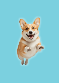 Cute Corgi Theme Green 06