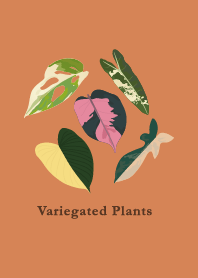 Variegated Plants 2