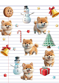 Shiba inu In Christmas Day