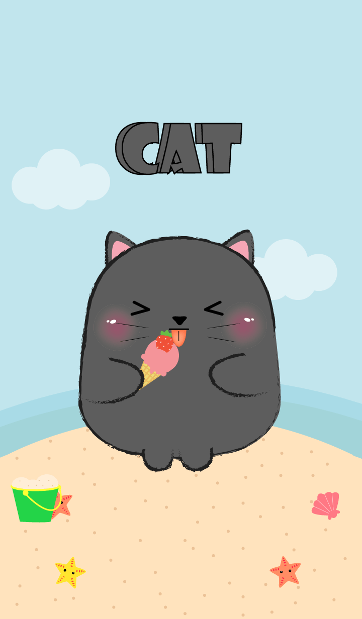 แมวดำอ้วนซัมเมอร์