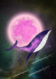 白羊座和鲸鱼-紫色-