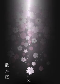 Cherry tree which scattered Light pink J