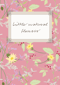Little natural flowers 24