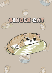 gingercat11 / tan