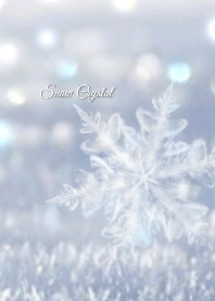 Snow Crystal Inspired by the light