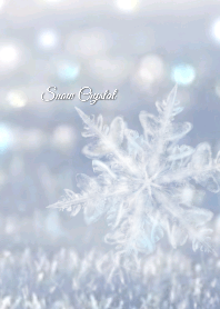 Snow Crystal ～朝の光に照らされて～