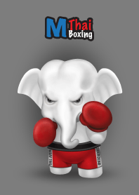 M.thai Boxing
